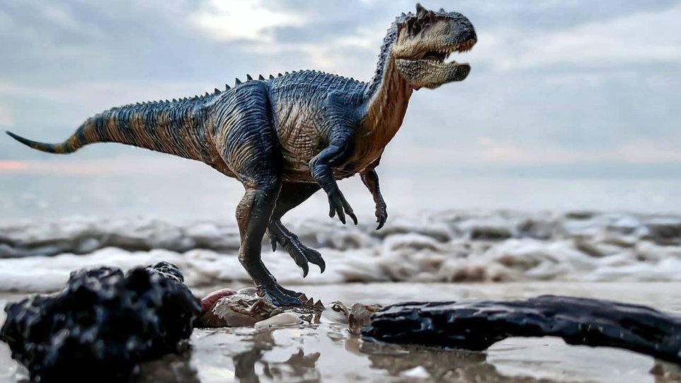 VELIKO OTKRIĆE: Sadržaj stomaka Ti-reksa otkriva kako je jeo 🦖🥩 | Red ...